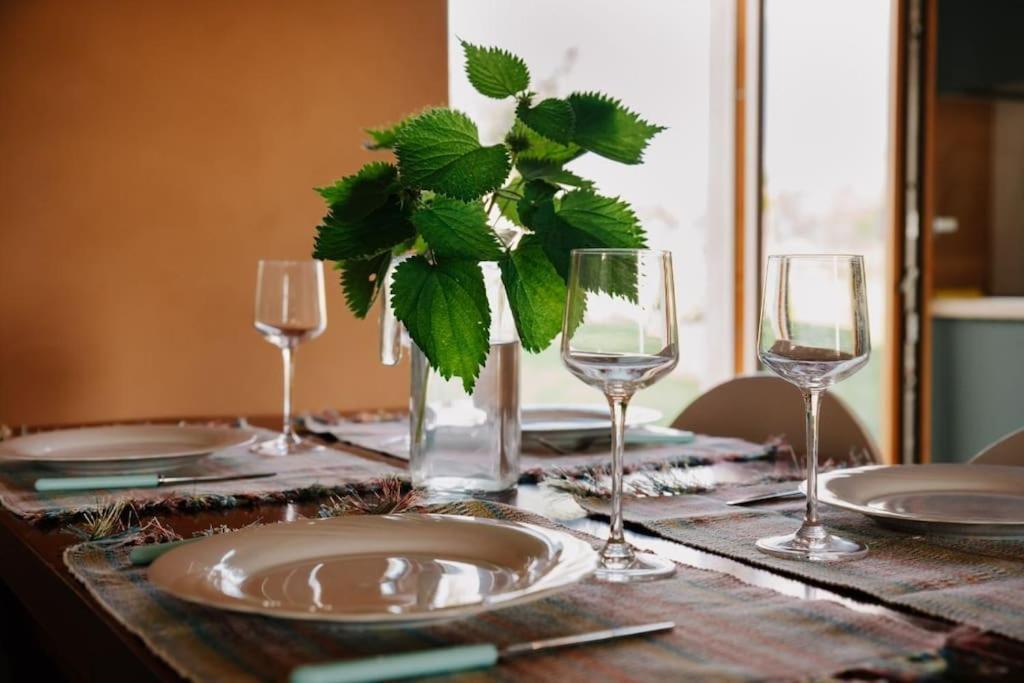 Country Apartment, Near Bardolino And Lazise Calmasino Экстерьер фото